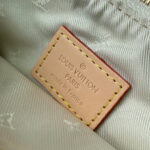 Louis Vuitton CarryAll PM M24707 Cream